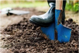 man digging soil