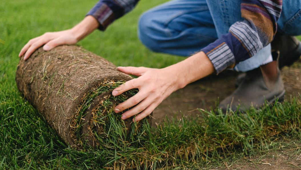 green lawn waste