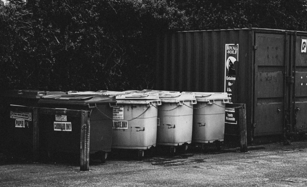 skip bins on the drive way