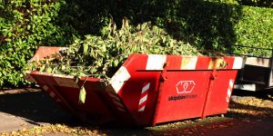 skip bin edward st - Brisbane