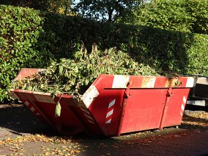 skip bin full with tree branches 