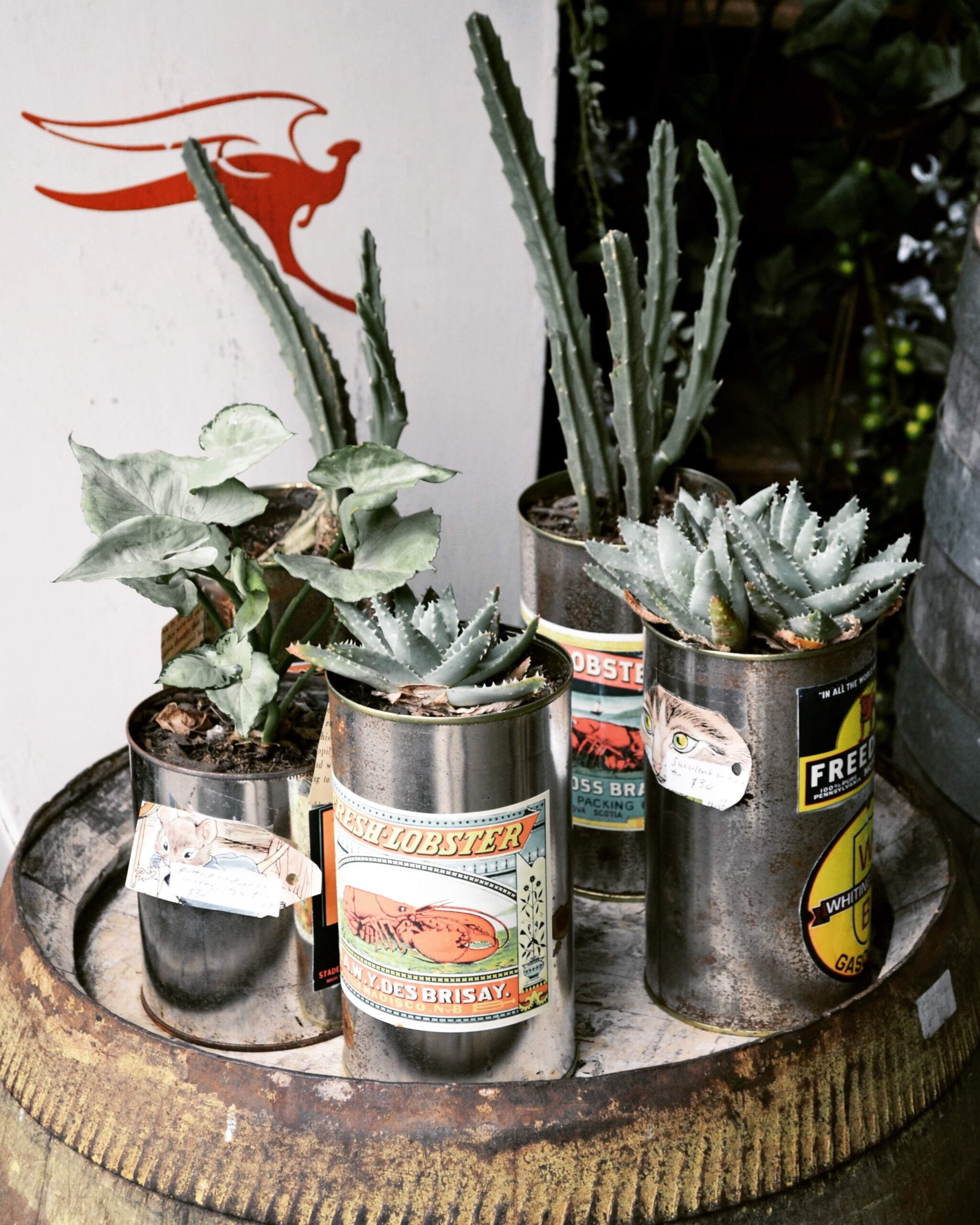 Cans with plants